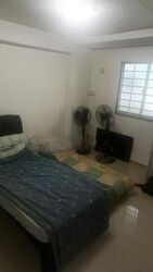 Blk 411 Tampines Street 41 (Tampines), HDB 3 Rooms #508027911